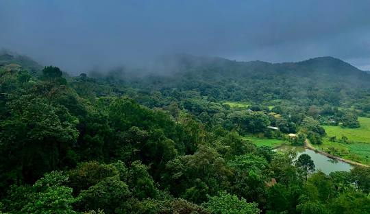 coorg nature was incredible